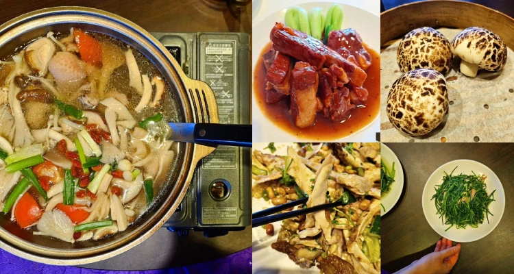 我們一家三口圍坐在一樓的小圓桌旁，慢慢享用一道道老師傅現做的中式料理與熱炒。桌上的菜一道道上桌：招牌「天香涼拌手撕燒雞」、鮮甜的「小卷米粉」、鹹香入味的「無錫排骨」，再搭配清爽的地瓜葉、水蓮...以及一鍋熱氣蒸騰的「養生百菇雞湯」。最後，以可愛的「香菇造型芝麻包」甜點收尾，為這場聚餐畫下完美句點。
