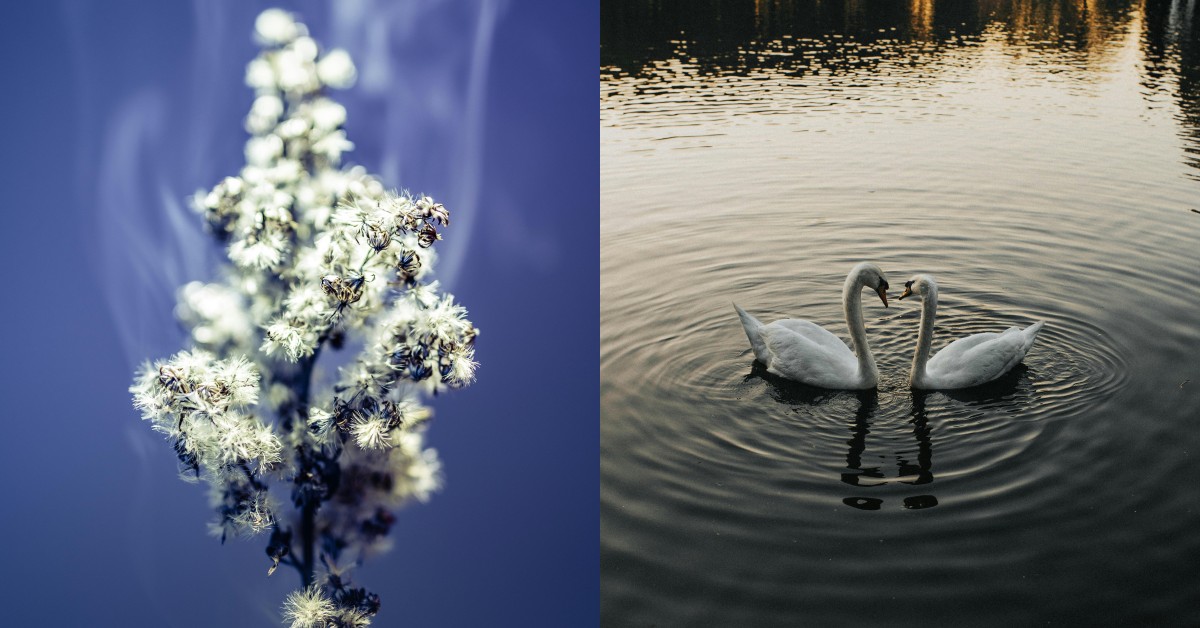 沒有秒回等於沒興趣？破解4種曖昧常見的錯誤觀念，重拾戀愛安全感！