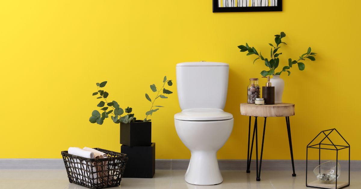 半夜頻尿醒來？泌尿科醫師警告：一天排尿超過「這次數」，膀胱已過動！