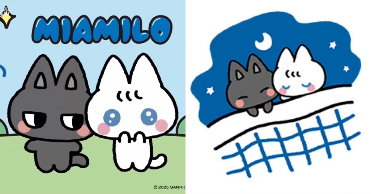 三麗鷗家族新成員「咪咪沐沐」爆紅！4點介紹貓咪姐妹花