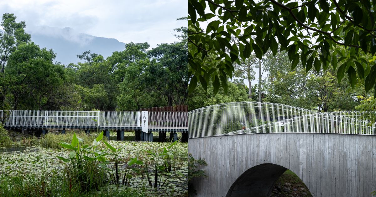 最美生態池！花蓮高農「雲山橋」與「植生棧」，宛如莫內《睡蓮》