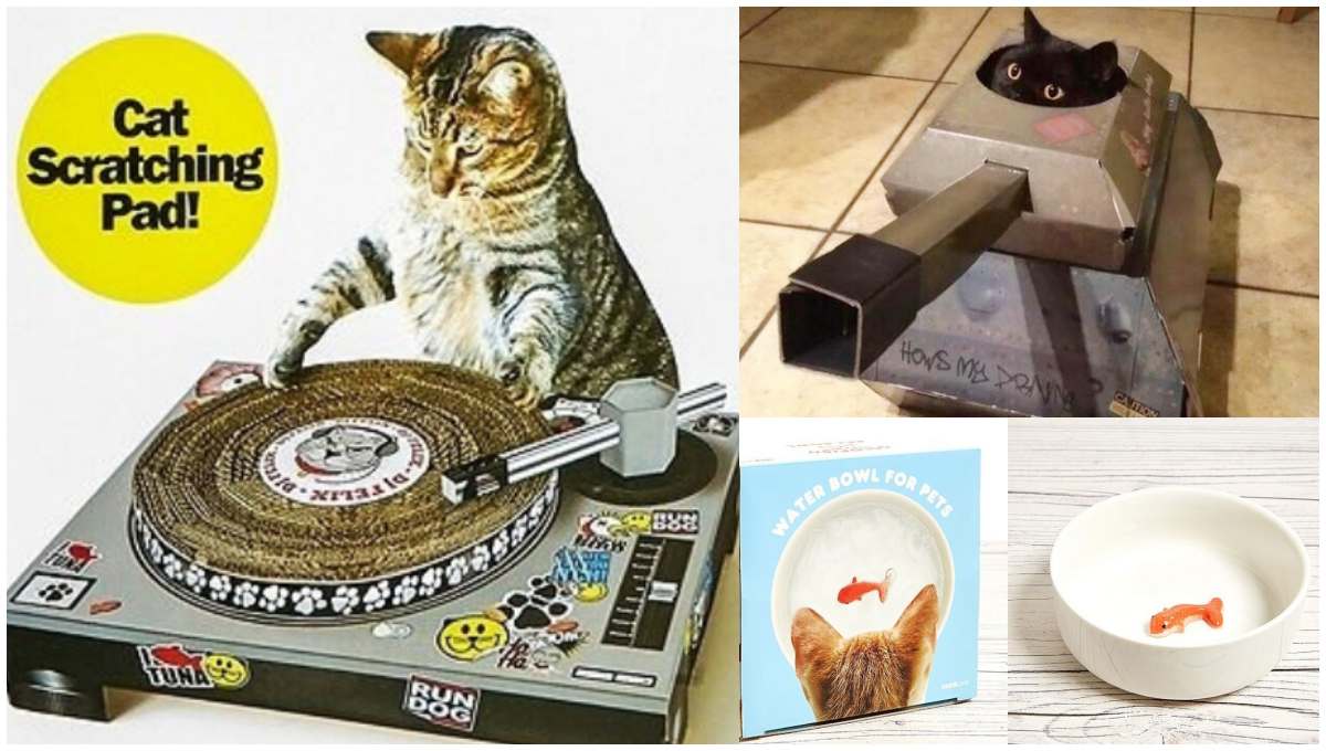 別再跟喵星人玩逗貓棒了！鏟屎官們快用DJ抓抓刷盤、迷你坦克車再次收服主子的心！
