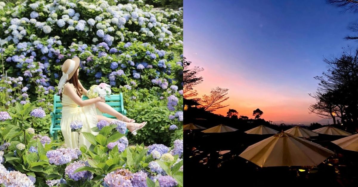台北避暑這樣玩！6個涼爽秘境推薦：SUP立槳、貓空夜景一次收集！