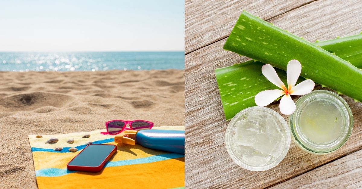 蚊子叮、曬傷癢到受不了？醫師破解「夏日護膚迷思」，蘆薈、絲瓜水直接敷臉恐致皮膚炎 