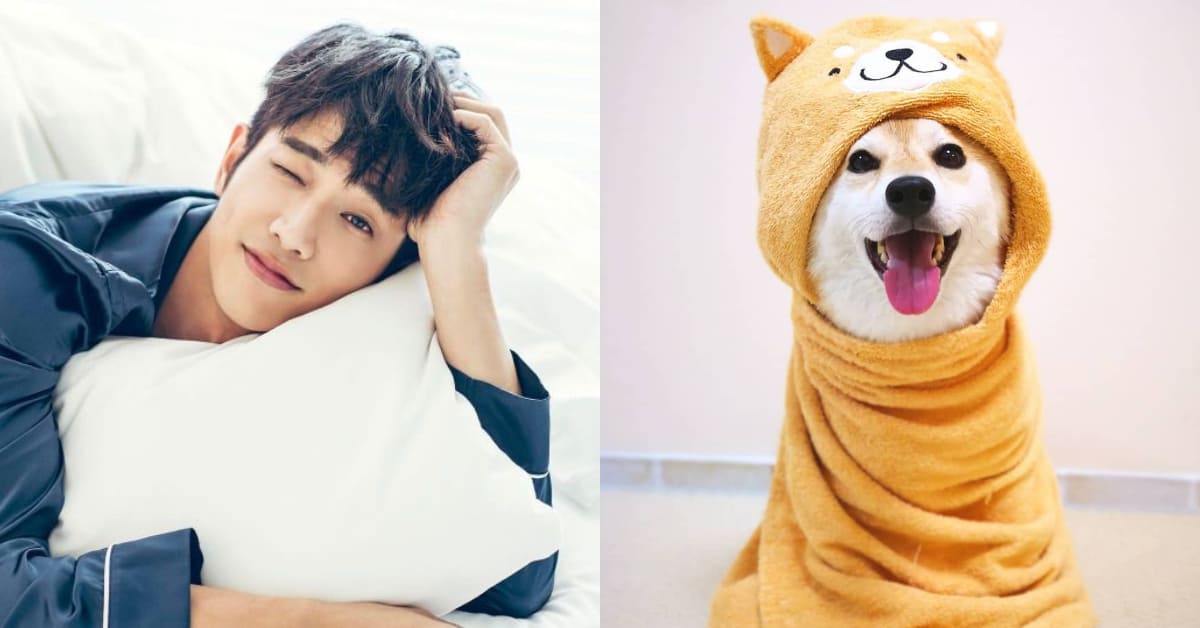 解析5種「犬系男友」！呆萌柴犬系、傻蠢二哈系，你的另一半是哪一種呢？
