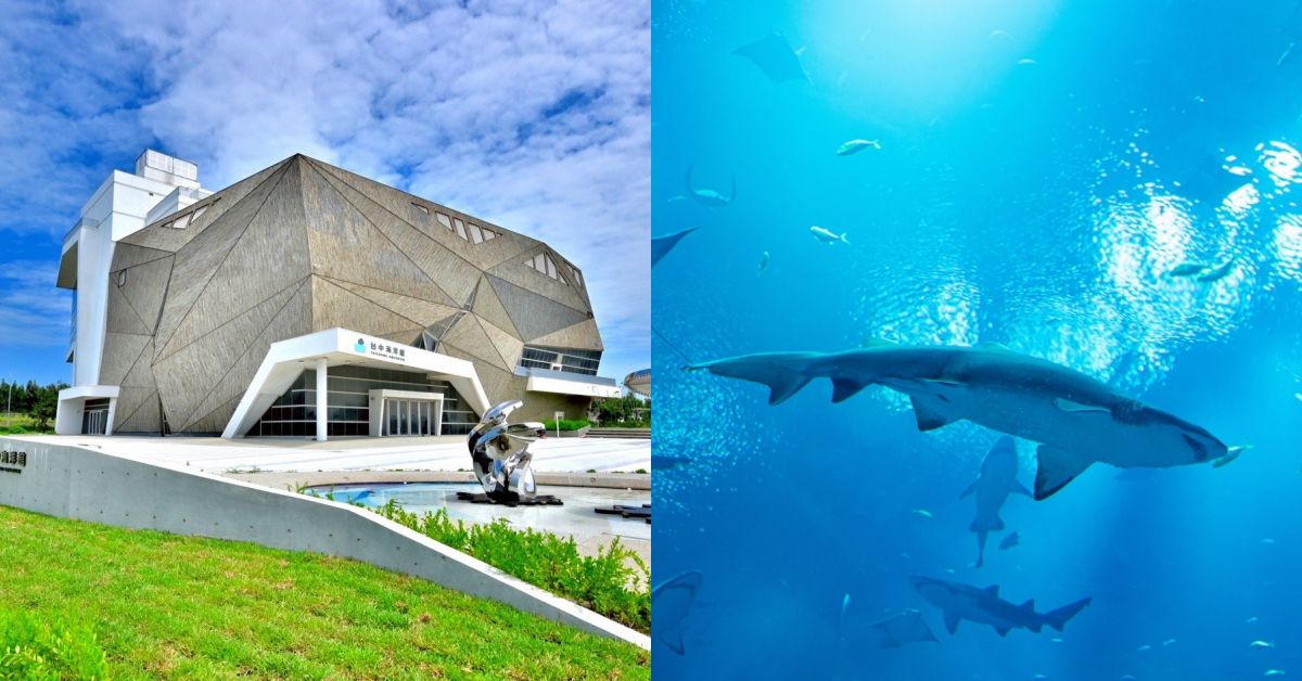 全台第二大水族箱！台中海洋館8/21登場，四大主題展區一次看