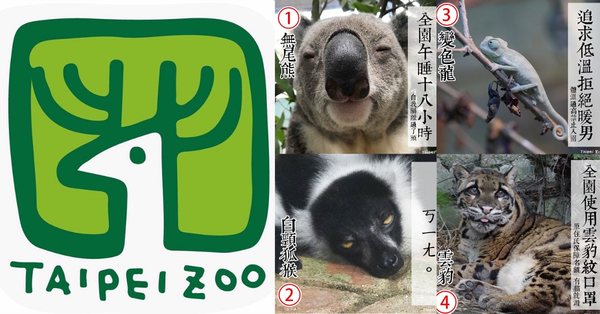 北市動物園園長大比拚！8位「超萌候選人」 誰的防疫政見最得你心？