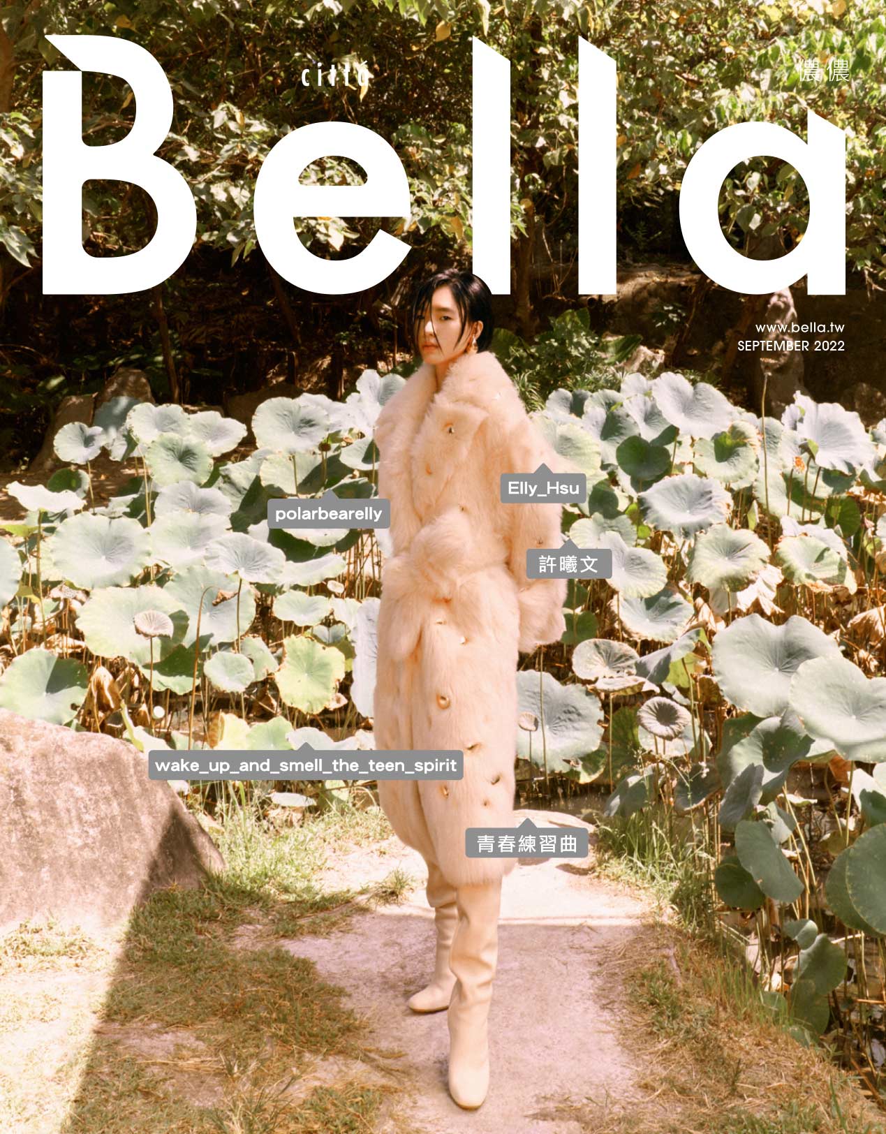cover cover