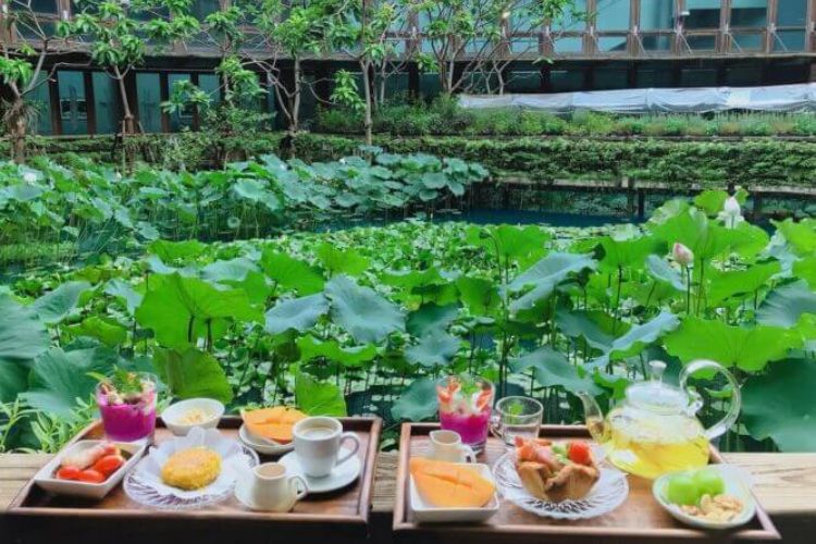 全台 6 大花園秘境！不出國也能漫遊古典玫瑰園、歐式城堡、日式庭院，從親子到伴侶約會都可以！