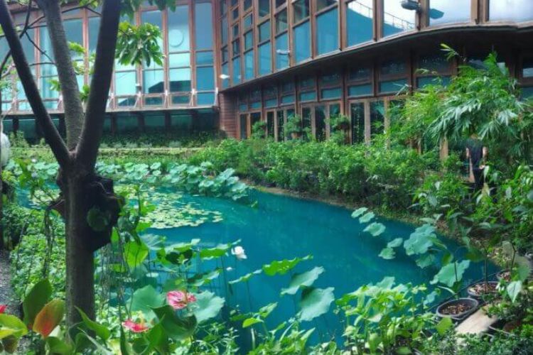 全台 6 大花園秘境！不出國也能漫遊古典玫瑰園、歐式城堡、日式庭院，從親子到伴侶約會都可以！