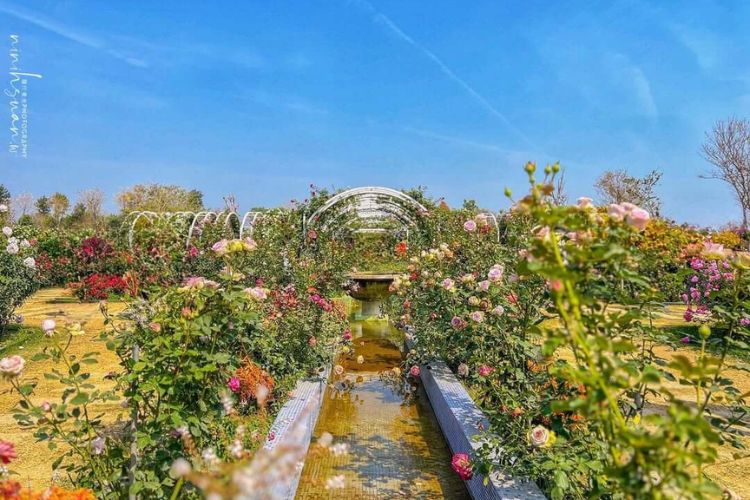 全台 6 大花園秘境！不出國也能漫遊古典玫瑰園、歐式城堡、日式庭院，從親子到伴侶約會都可以！