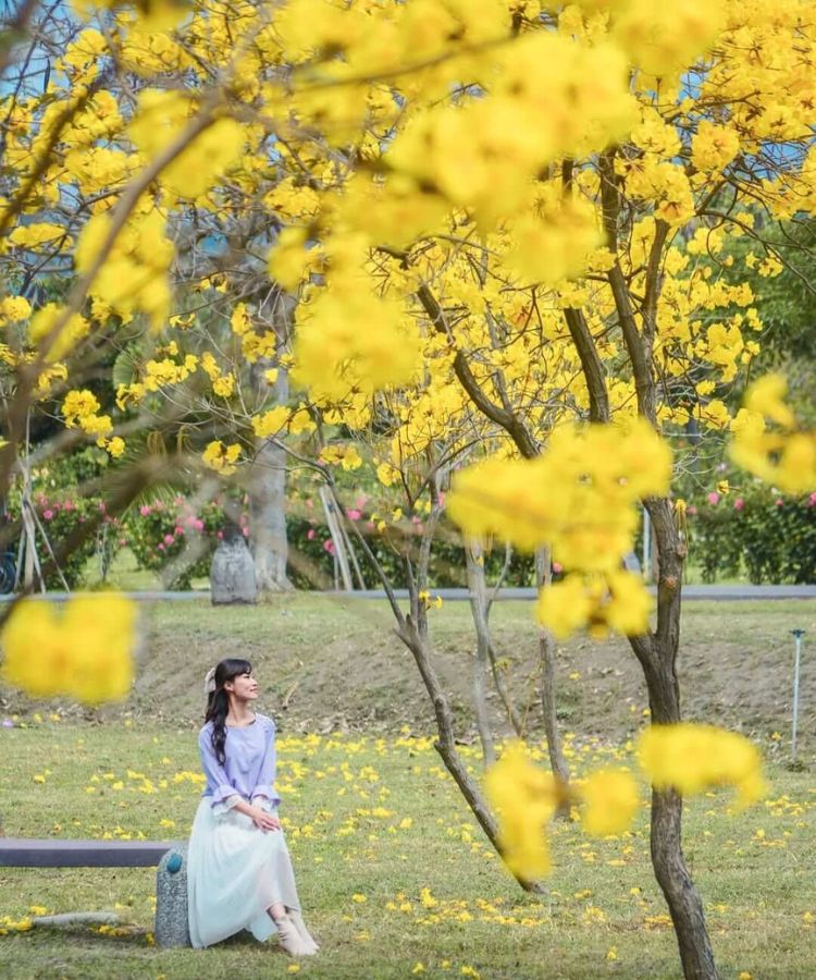 全台 6 大花園秘境！不出國也能漫遊古典玫瑰園、歐式城堡、日式庭院，從親子到伴侶約會都可以！