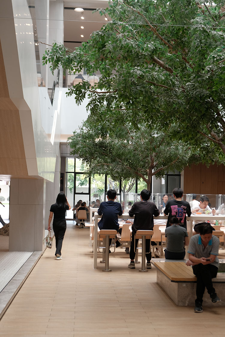 食堂與餐廳能同時容納上千人用餐，四層樓的用餐空間從公共食堂到自助餐廳、商務包間，層層遞進，滿足不同需求。