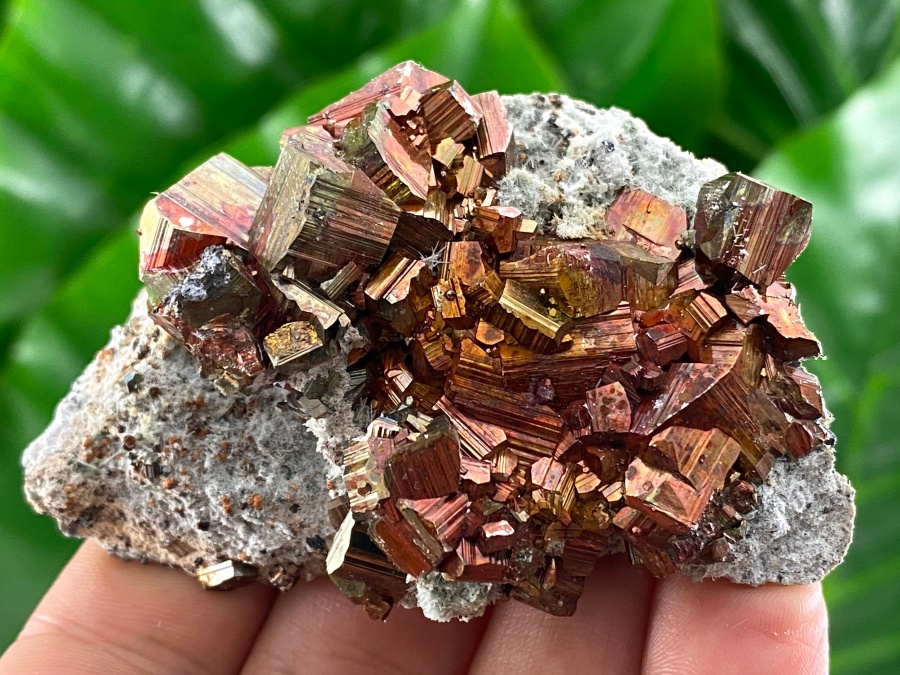 黃鐵礦多以金色聞名，而其中帶紅調的品種極為罕見。紅色黃鐵礦表面常呈現金屬光澤，帶著深紅或銅紅色的閃爍感，具有強烈的工業美感。