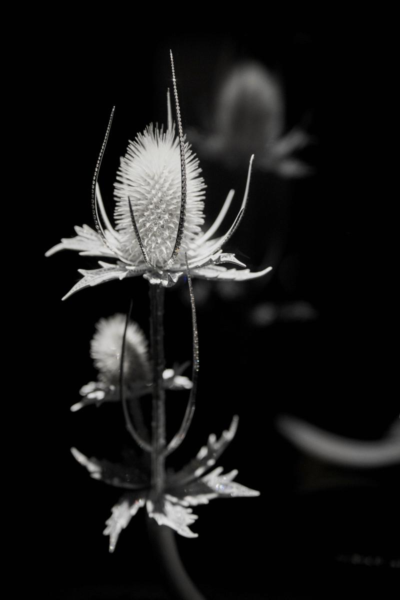 如果說今年一月的 Histoire de Style《Untamed Nature》 是 Choisne 從 Frédéric Boucheron 先生的歷史檔案中汲取靈感，藉以致敬世家的自然基因；那麼七月發表的 《Impermanence》 則為她開啟更自由的舞台，以個人視角延續並重塑品牌的創意夢想。此系列同時回望2018年 《Eternal Flowers》 對短暫花期的凝鍊，從當時捕捉瞬縱即逝的剎那，到如今昇華為「無常即恆常」的永恆哲思，引領觀者學會欣賞未竟之美，在有限中看見無限。