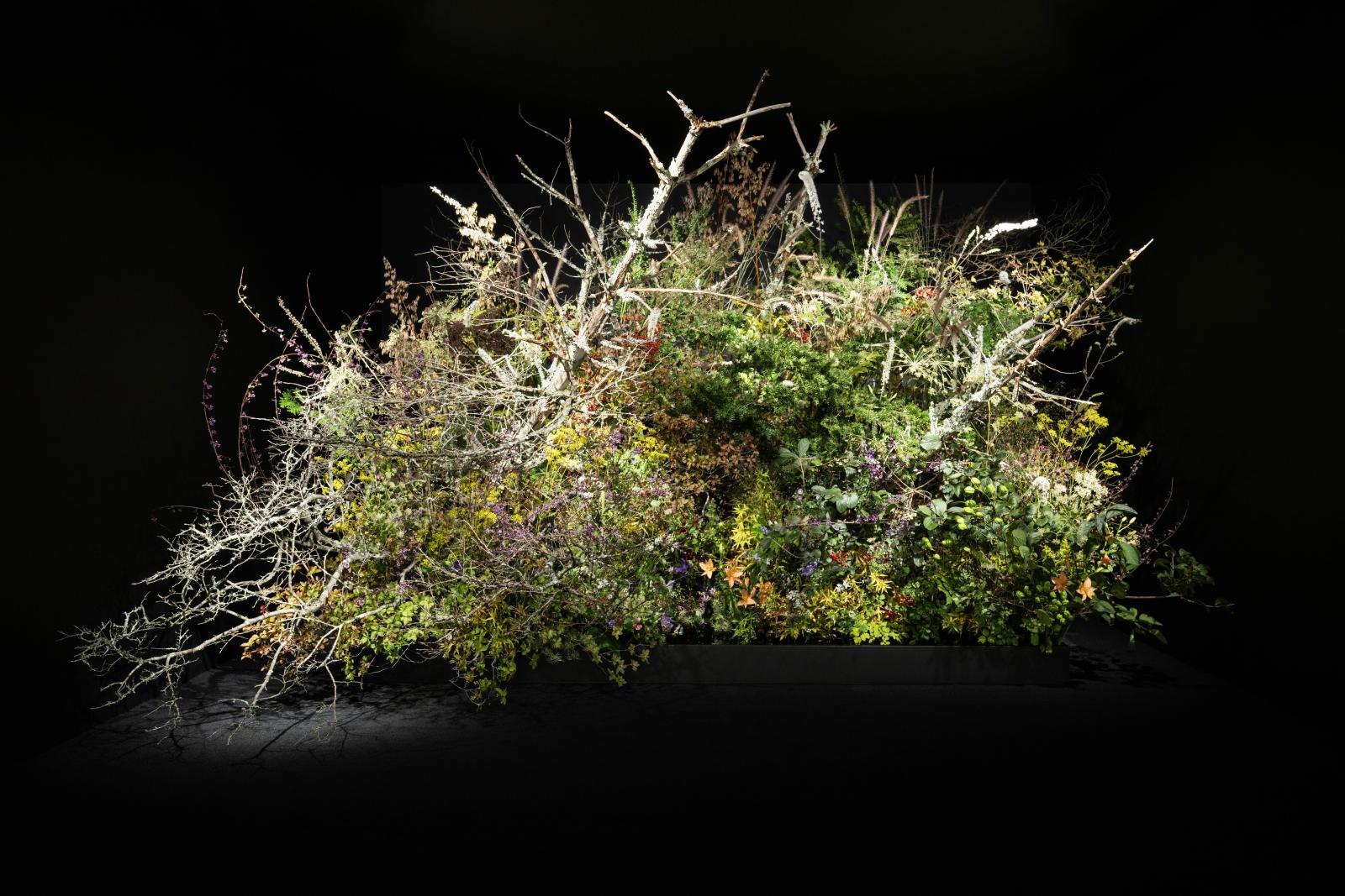 Boucheron 寶詩龍 2025 Carte Blanche《Impermanence》高級珠寶系列展覽，選址於日本東京表參道的一處極簡空間，圖為花藝大師片桐功敦（Atsunobu Katagiri）為展覽而創作的花藝作品。