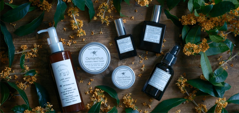 旅日必買！網路高人氣三大時尚潮牌：行家買瘋皮件IL BISONTE、個性小眾香氛Aux Paradis、超質感行李箱Moln