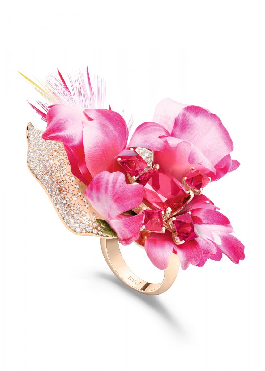 〈Extraordinary Rose〉作為系列中最具情感的篇章，再次讓伯爵玫瑰綻放。自 Yves Piaget 時期以來，玫瑰便是品牌精神的縮影。這次伯爵攜手羽飾工藝大師 Nelly Saunier，以羽毛與紅色尖晶石創作出可轉換為手鐲或胸針的作品。