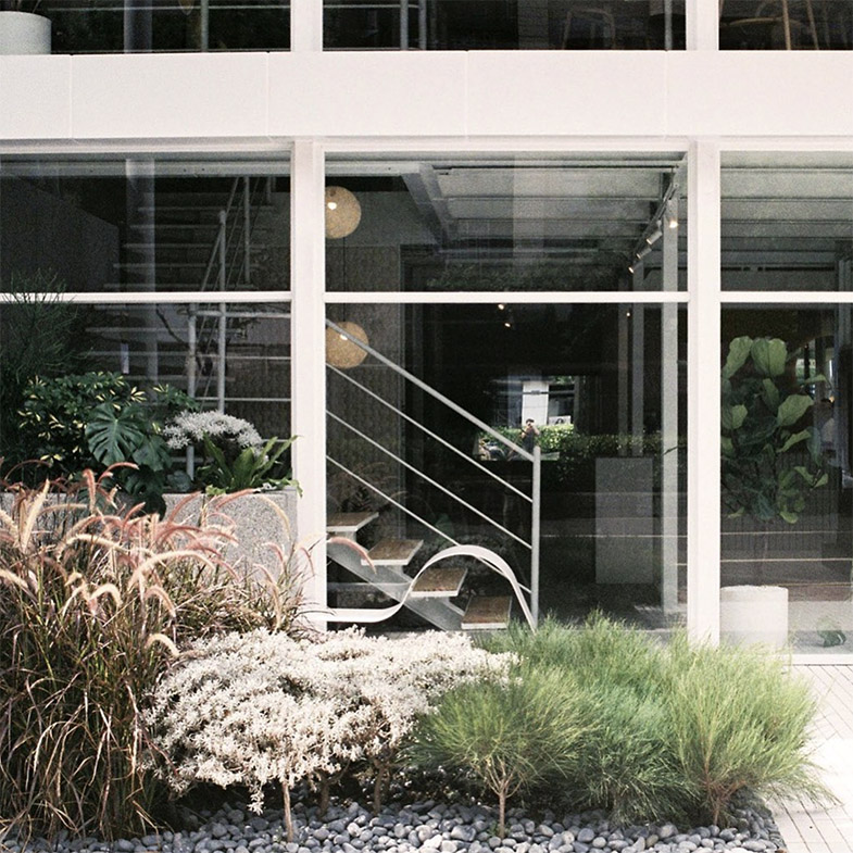 周邊的樹影在玻璃上投下斑駁光點，陽光隨時間流轉，午後帶點溫白的金色；時間來到傍晚是帶點橘的柔亮。