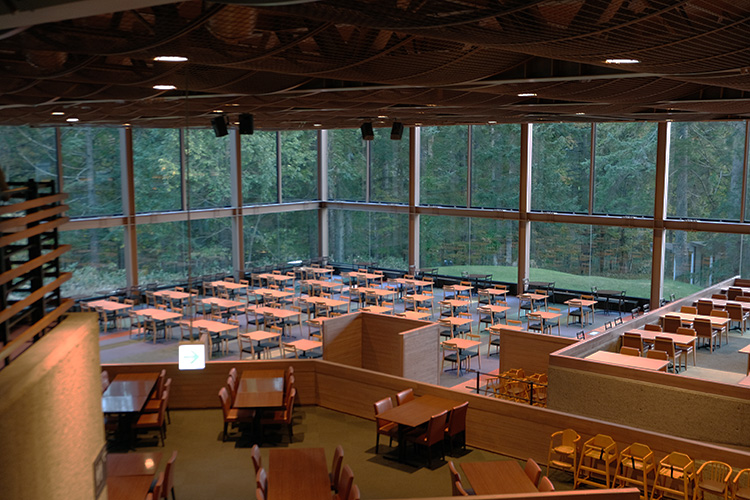 藏在樹林裡的「森林餐廳」被滿滿綠意包圍，一邊看風穿過樹梢，一邊舀起滿滿的海鮮丼，你會突然忘了，該先細看食物，還是先沈醉在那片靜得出奇的森林。