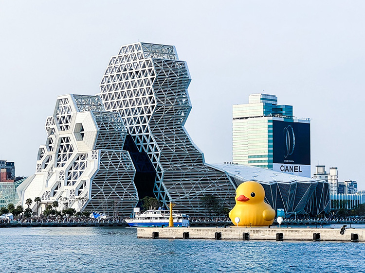 不只針對國際航網，星宇航空宣布將於2026年正式進駐高雄小港機場，宣告品牌版圖南拓新里程。