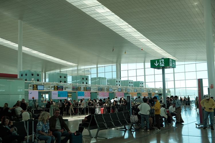 自2025年10月30日起，所有入境旅客將取消「免檢疫綠色通道」