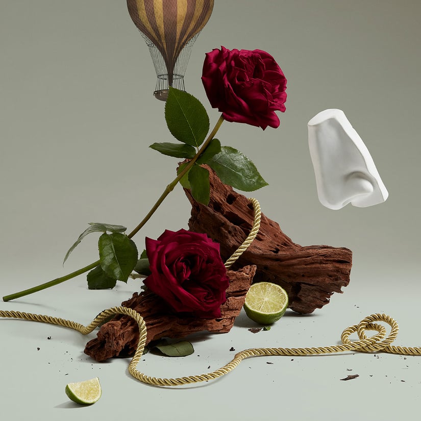 根據潘海利根提供的資訊，最暢銷的產品為 Halfeti 黑玫瑰女性淡香精。其香調屬木質花香調、皮革調與辛辣調。前味：甜檸檬、綠葉調、苦蒿；中味：玫瑰、肉豆蔻、番紅花、肉桂；後味：沉香、皮革、雪松、麝香、檀香。這款香氣將乾燥花瓣的嬌美濃縮成更深邃的高貴氣息；帶有中東風味的土耳其香料被包覆在柔軟皮革之中，在小眾香氛中格外突出，令人印象深刻。