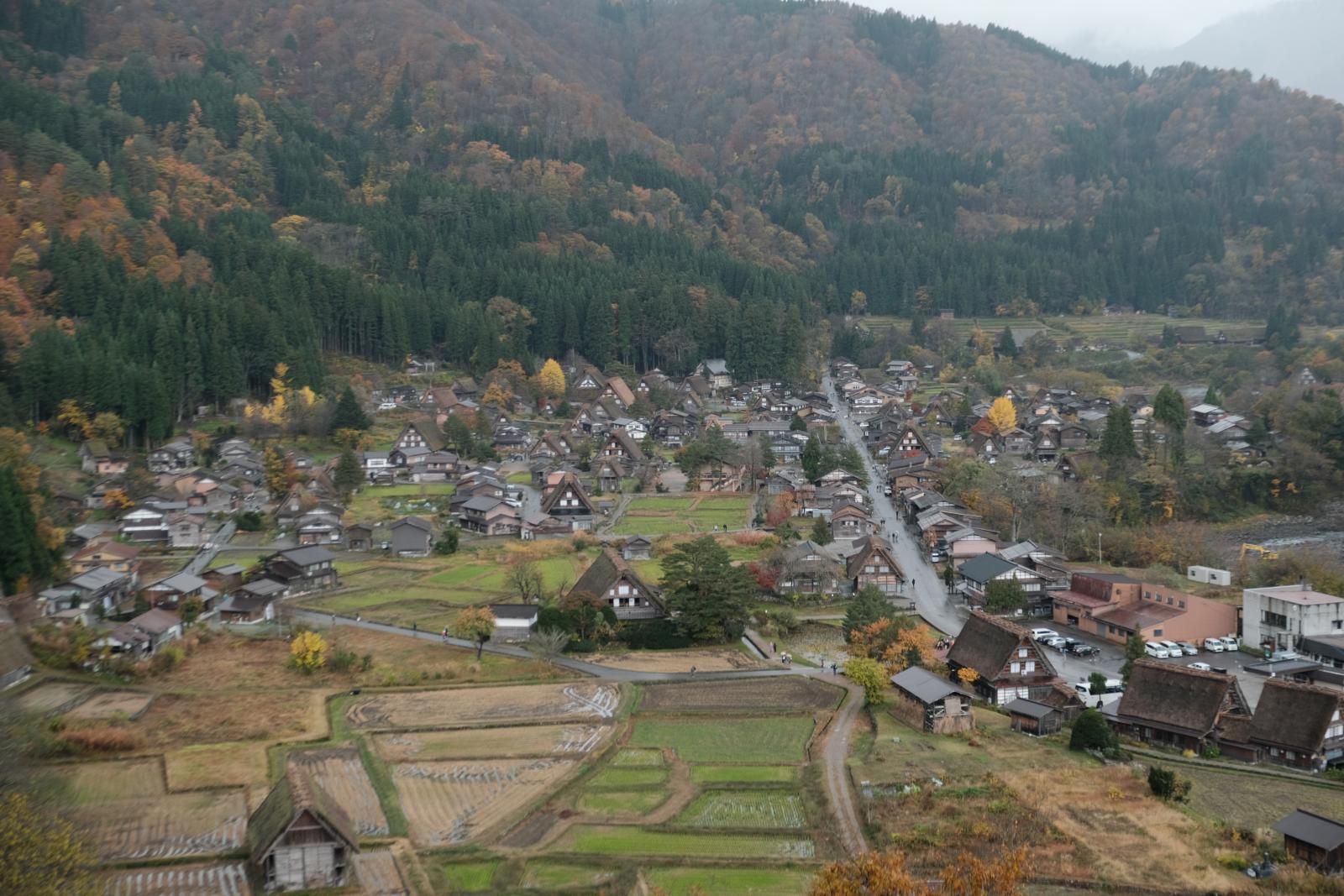 名古屋在台灣旅客心中的熱度明顯升高，關鍵就在於它的「彈性」，航班穩定、票價不浮動，加上城市節奏舒適，是不少家庭旅遊心中的安全牌。