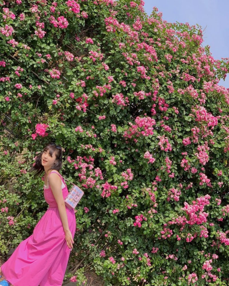 第一款包我們推薦 Roger Vivier！金慧峻 在一次私服中，以可愛的粉色洋裝展現甜美氣質