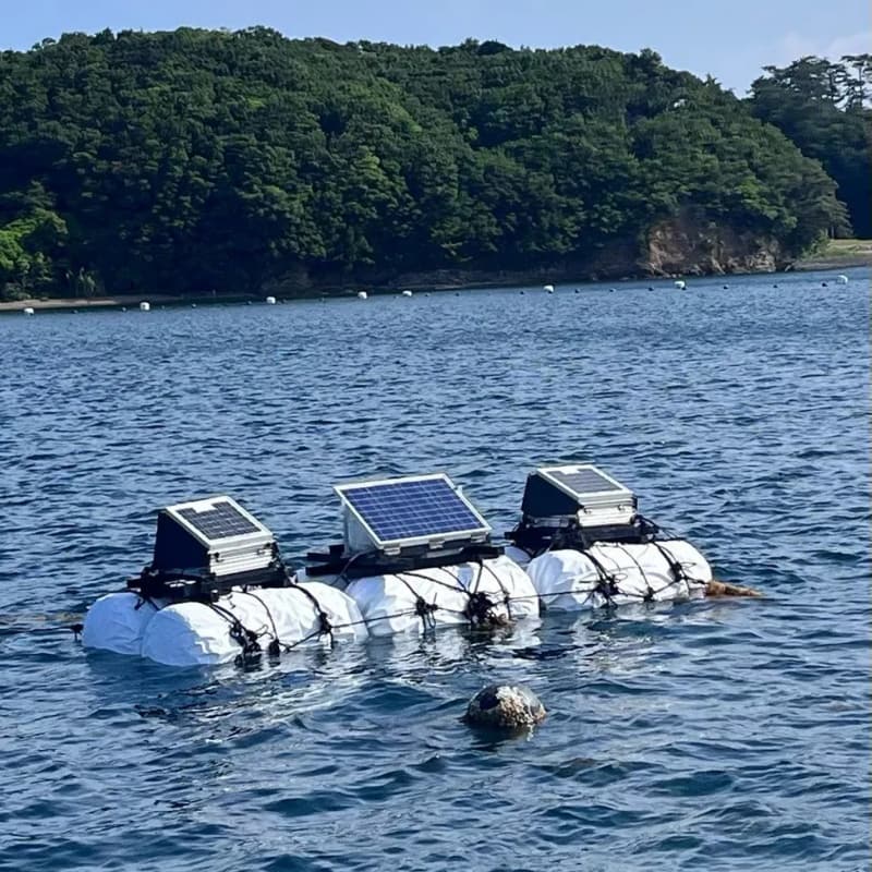 在日本伊勢志摩地區起家的 Mikimoto,從創立之初便未將視野侷限於本土。20世紀初,品牌積極參與歐美世界博覽會,將養殖珍珠帶往巴黎、倫敦與紐約等珠寶重鎮展示。這些場合不只是產品曝光,更是一場場關於「價值認知」的說服——向歐洲珠寶界證明,養殖珍珠並非廉價替代品,而是品質穩定、足以進入高級珠寶體系的寶石。隨著展覽與交流累積,珍珠逐漸被歐美市場接受,並在1920年代正式進入上流社會與高級時裝的語境之中。從伊勢志摩的漁村出發,Mikimoto 以實際行動建立起「日本珍珠」的國際聲譽,也成為連結產地與世界舞台的重要橋樑。