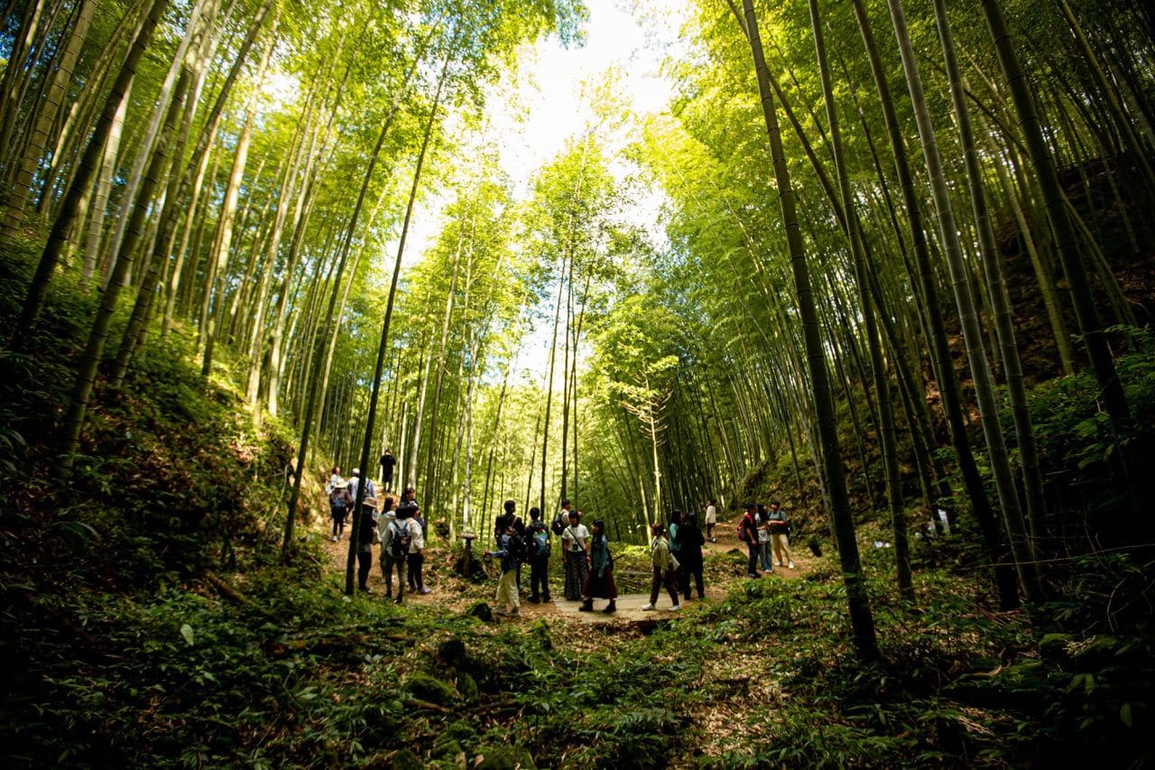 石壁休閒遊憩區坐落於海拔 1,600 至 1,630 公尺的中海拔森林之中，園區內包含穹頂竹棚、微風小築、寂靜區、低語軒等設施。杉木林步道坡度平緩，環境幽靜舒適，遊客可近距離欣賞高聳挺立的杉木林。此外，雲嶺之丘位於雲林、嘉義與南投三縣交會處，具備無遮蔽的環景視野，是觀賞日出、夕陽與群峰景色的絕佳地點。整體設計以「順應自然、減少開發」為核心理念，傳達對自然環境的尊重。