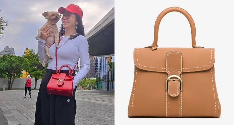 如果說，有一款包能橫跨半個世紀仍屹立不搖，那就是Delvaux設計的「Brillant」系列。在美鳳姐的詮釋下，它低調卻貴氣十足，是名副其實的「永遠不退流行」經典。