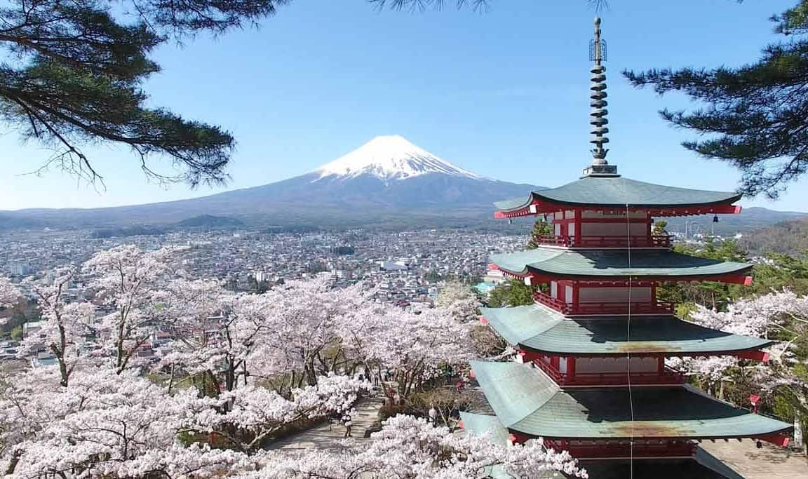 新倉山淺間公園結合富士山、五重塔與櫻花三大元素，是富士山地區春季最具代表性的櫻花拍攝取景地。每逢櫻花盛開，沿山坡遍植櫻花，遠方的富士山形成壯闊背景，畫面層次豐富。晴朗的天氣更能提升視野，讓觀賞者捕捉到宛如明信片般的景致。此地推薦作為橫跨關東與富士山地區的賞櫻線路之一。