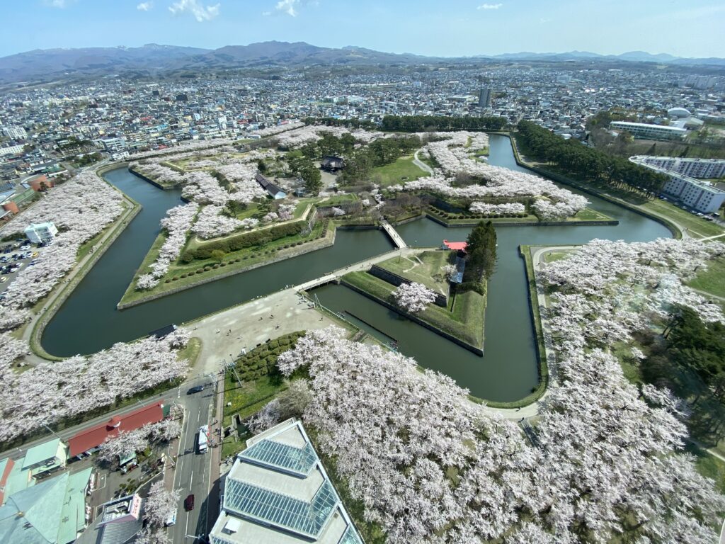 北海道最著名的賞櫻景點之一五稜郭公園，以獨特的星形要塞結構聞名。在春季賞櫻期間，粉色櫻花圍繞著歷史防禦工事，夜晚燈光映照下更顯景觀震撼。由於北海道地處北方，櫻花季相對較晚開始，一般集中在四月底至五月初左右，適合作為延長日本櫻花行程尾段的亮點選擇。