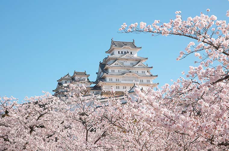 整體而言，2026年日本櫻花季仍延續往年由南至北的開花節奏，東京與京都地區約落在3月下旬至4月初為觀賞高峰，而更北的東北與北海道則在4月中下旬至5月初，成為遲開花期的觀賞重點。無論是都市公園的便捷花見、河岸漫步，抑或城堡與古寺的歷史場景櫻花，大致形成豐富多元的旅遊線路。建議讀者在規劃行程時適度留有彈性，以因應氣候變化與預測調整，同時搭配公共交通與景點開放資訊，提升整體賞櫻體驗的品質。