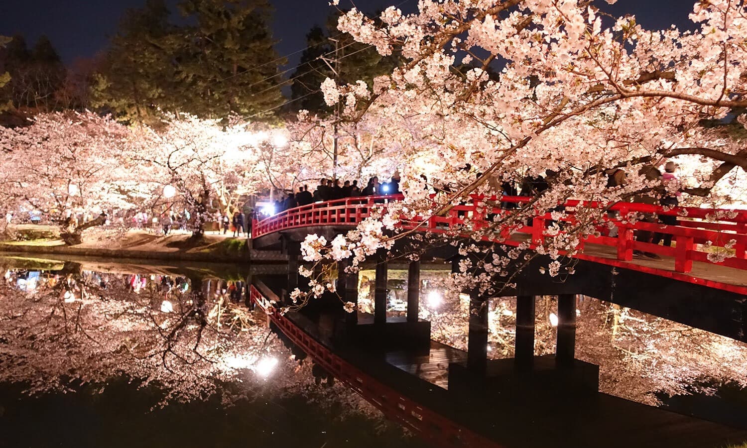 日本賞櫻名所：常見問與答