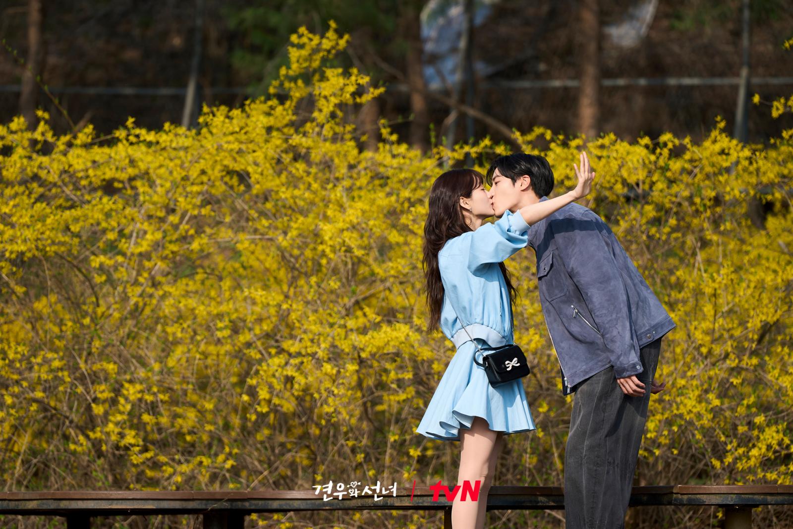 《牽牛和仙女》劇照