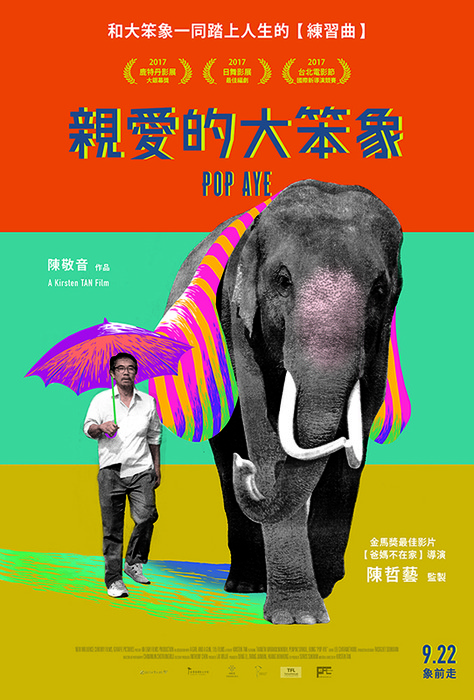 令人動容的歡快喜劇，和《親愛的大笨象》一同踏上人生的練習曲