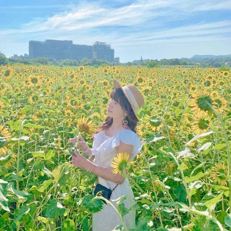 夏天就看太陽花！盤點全台 8 大向日葵景點：「中社觀光花市」網美必拍打卡熱點、台北市內也能看到大片花田？