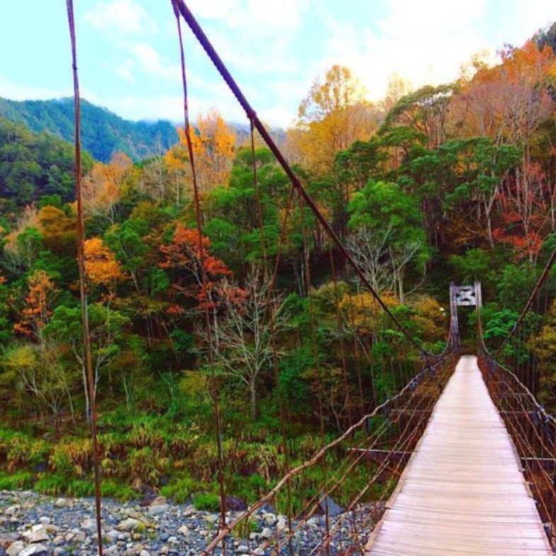 特搜北部、中部 11 座特色吊橋！隱形吊橋、賞楓秘境一次看，出遊踏青不無聊！