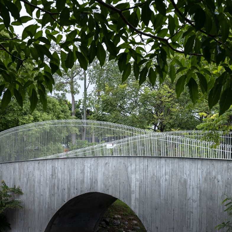 最美生態池！花蓮高農「雲山橋」與「植生棧」，宛如莫內《睡蓮》