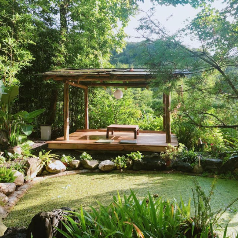 石碇區美食推薦「文山草堂」，山林裡的禪式體驗，品嚐「純素無菜單料理」太幸福