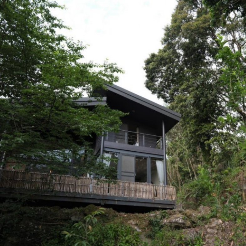 阿里山民宿「秘密遊」沈浸式住宿體驗！夢幻山景環繞，還有星空陪睡