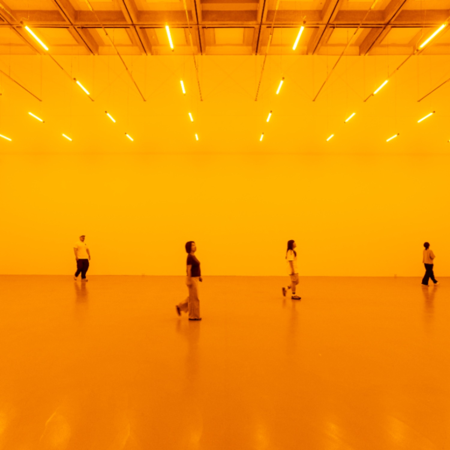 今年必看！開箱北美館「奧拉弗．埃利亞松：你的好奇旅程」大展