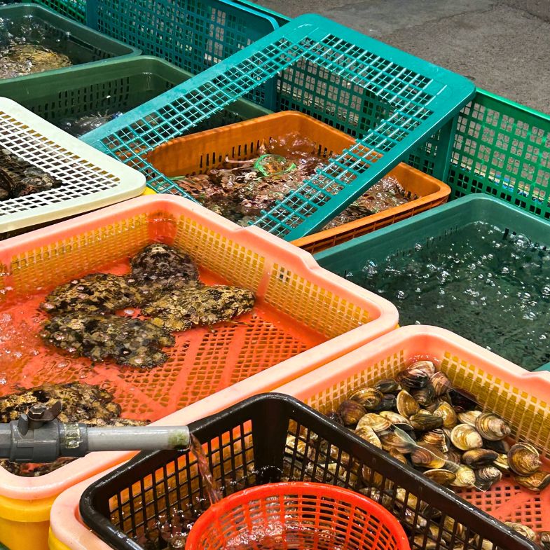 台北市裡的現撈仔！社子代客料理餐廳「味味活海鮮」從富基漁港批發做到開餐廳，不用跑北海岸也吃得到最青海鮮