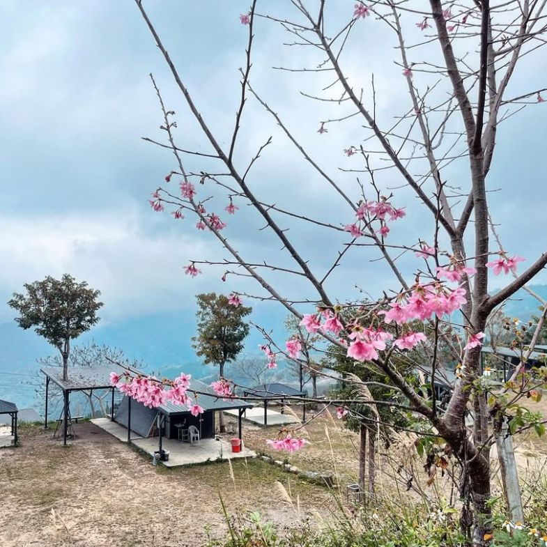 新竹懶人露營特搜！精選 8 大營地：豪華帳篷、景觀小屋，輕鬆享受戶外時光