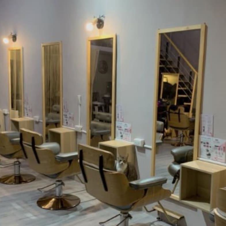 【洗頭時間】三重在地人最愛髮廊「管你的頭」！300元熱敷馬殺雞太超值，假日想約還得碰運氣