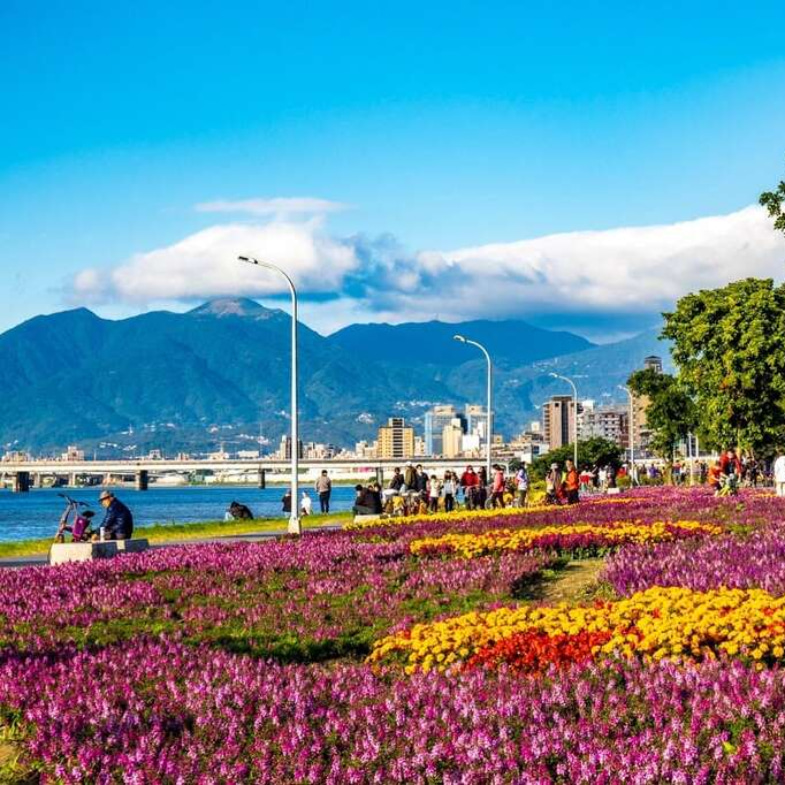 連假旅遊台北市「2大花海」正盛開！「北市最美水岸花海」7萬多盆草花綻放，至「大溝溪」順遊白石湖吃草莓大餐！