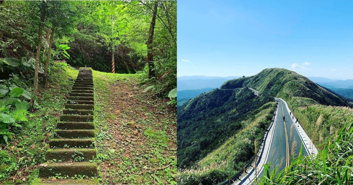 國內旅遊太貴?推薦北部五條絕美「登山古道」,入秋賞芒不能錯過「草嶺古道」、台北市也有路線可以玩的盡興! | Bella.tw儂儂